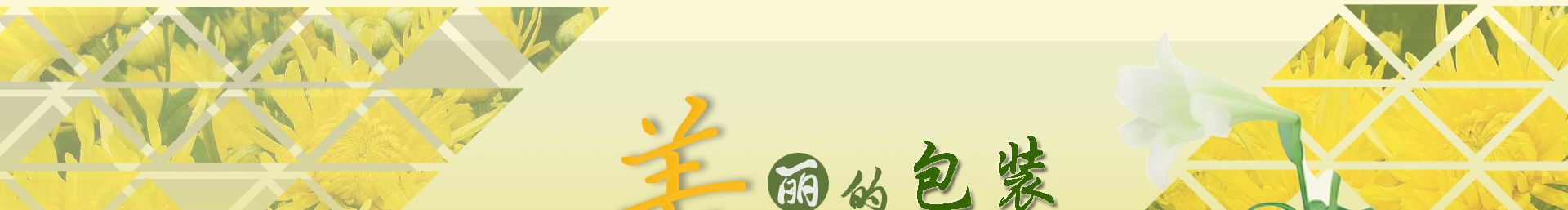 美颜包装